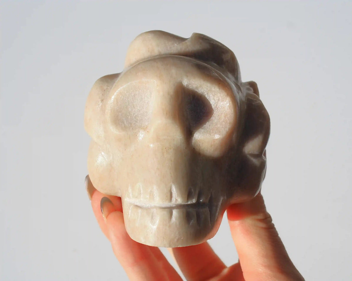 Lotus Flower Skull Authentic Isis Goddess Temple Stone from Egypt
