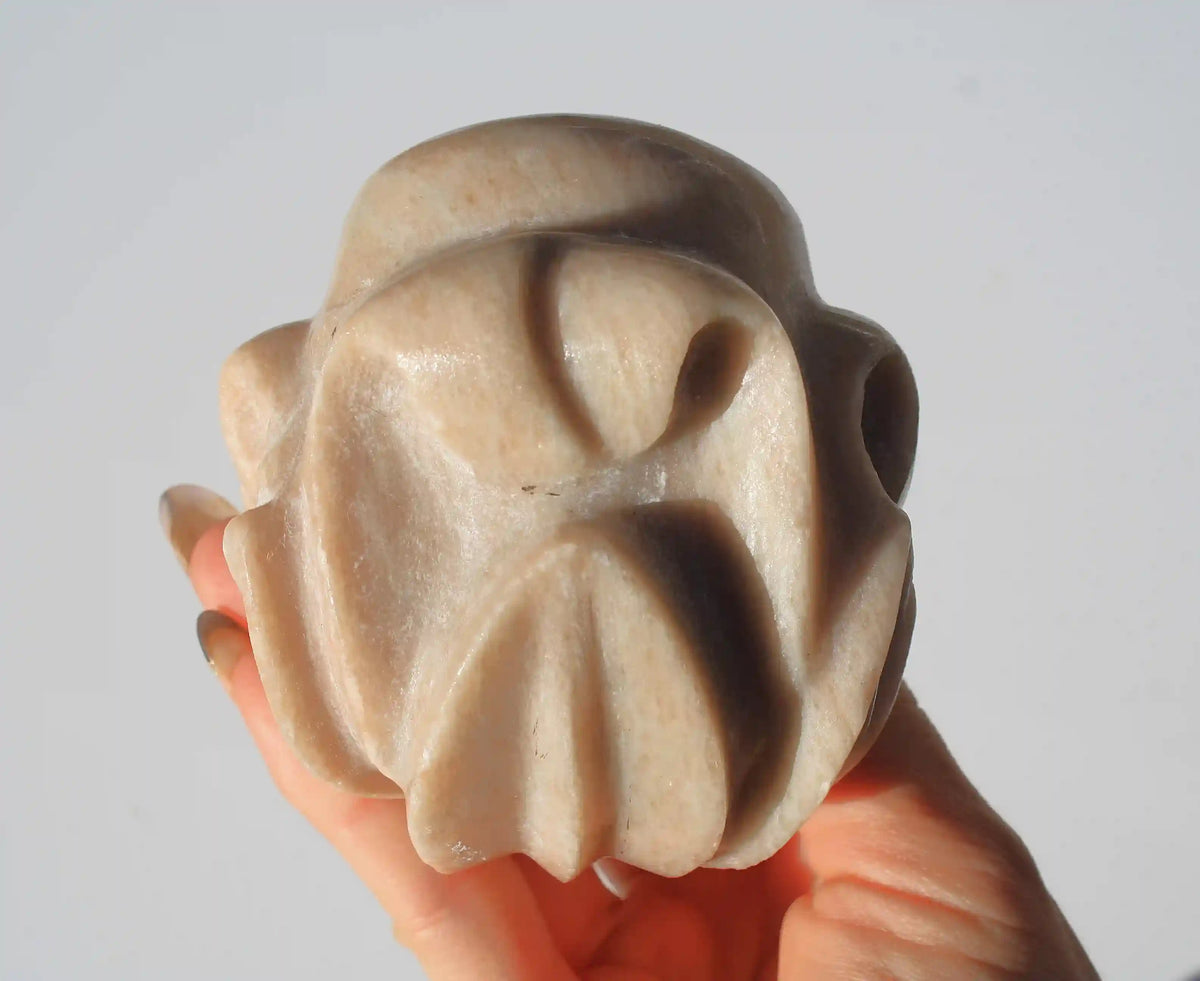 Lotus Flower Skull Authentic Isis Goddess Temple Stone from Egypt