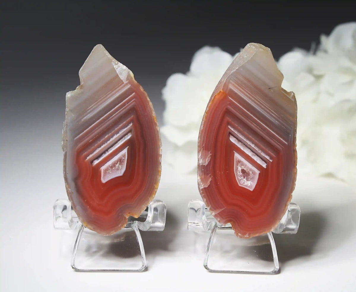 Pink Swazi Agate Pair with Banding