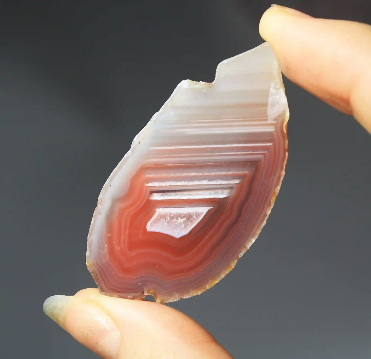 Pink Swazi Agate Pair with Banding