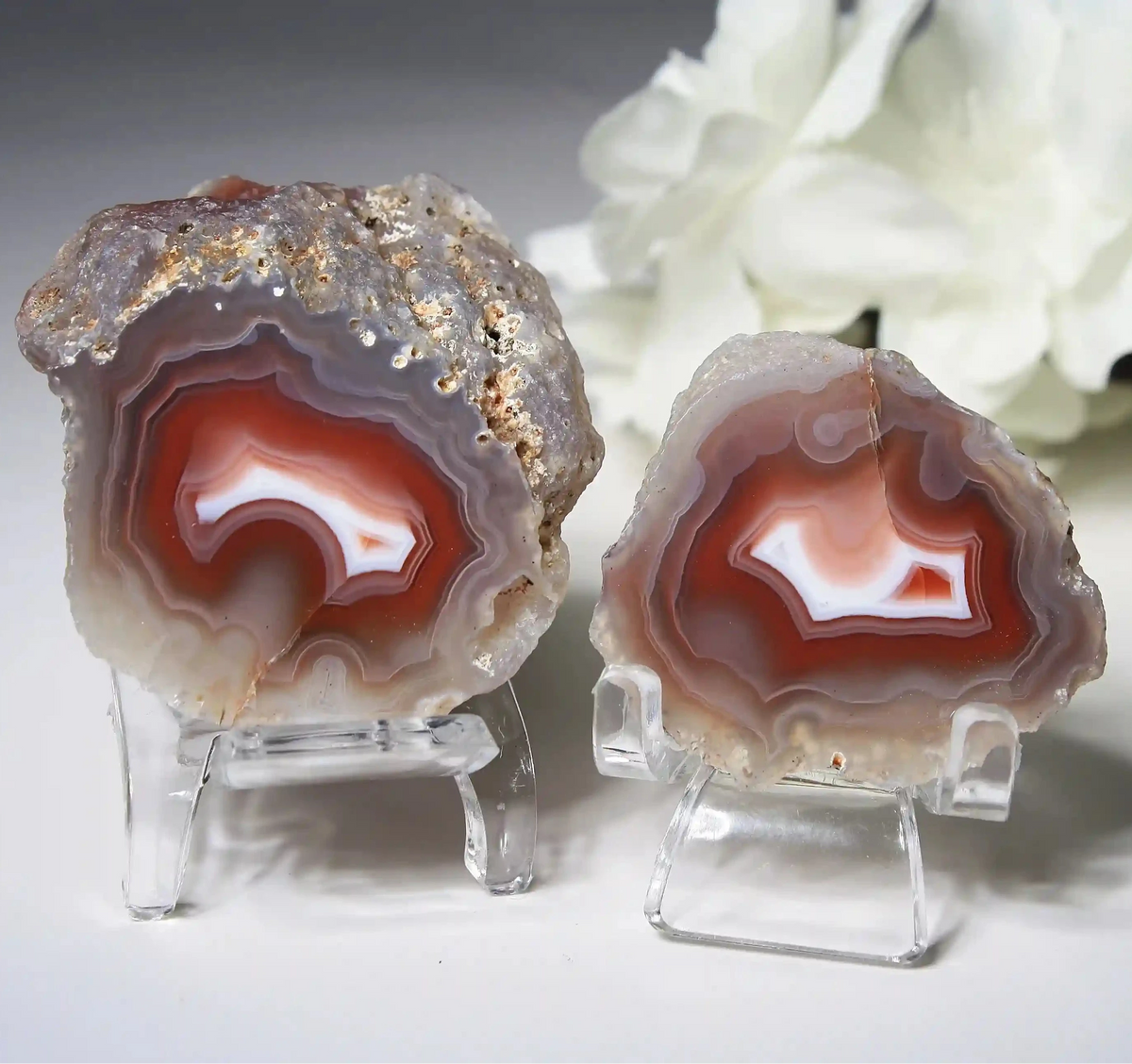 Swazi Agate Pair with Red Banding