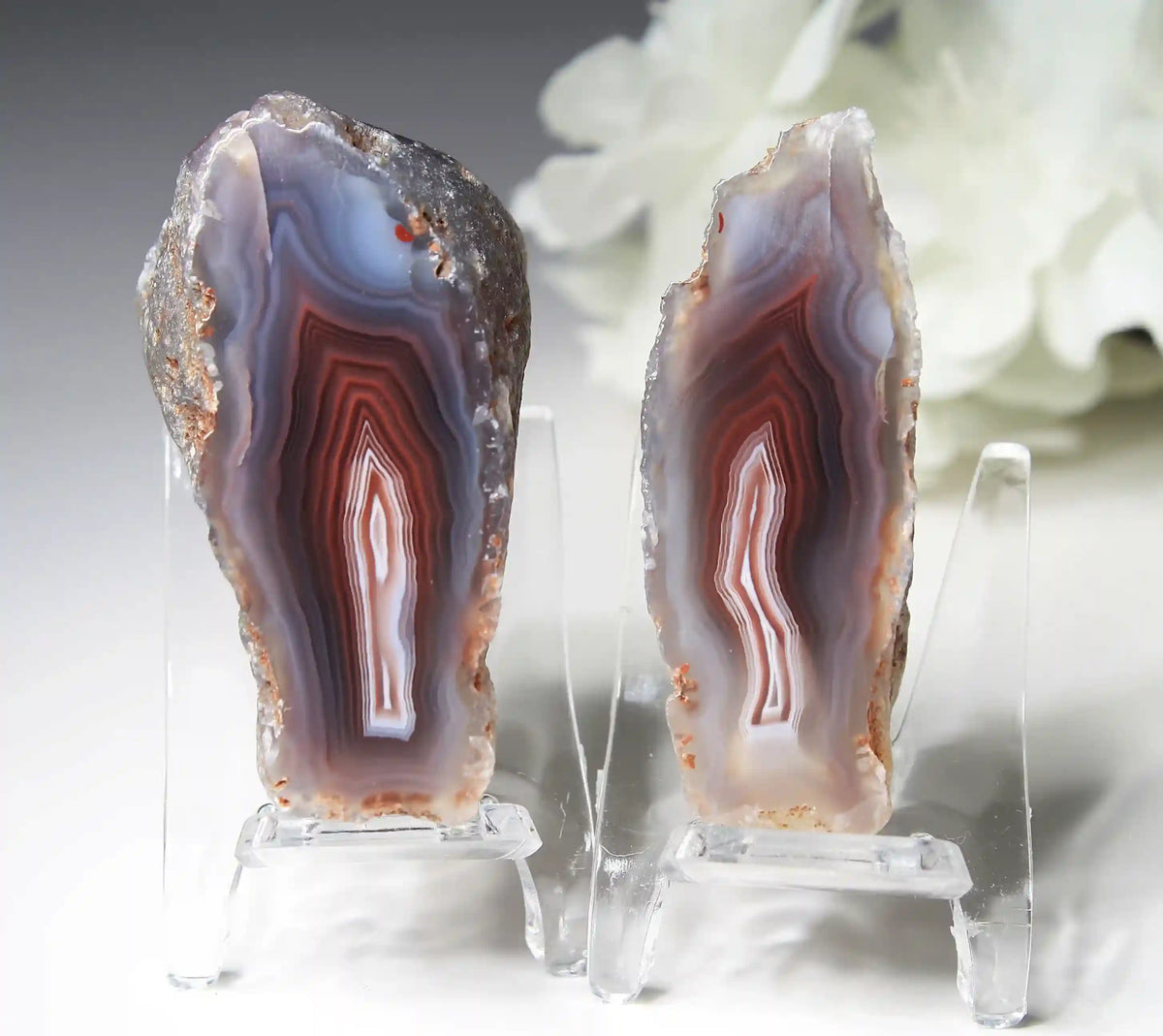 Swazi agate, agate pairs, swazi agate pair, orange swazi agate, white swazi agate, pink swazi agate, purple swazi agate, collectors swazi agate, pastel agate , pastel swazi agate