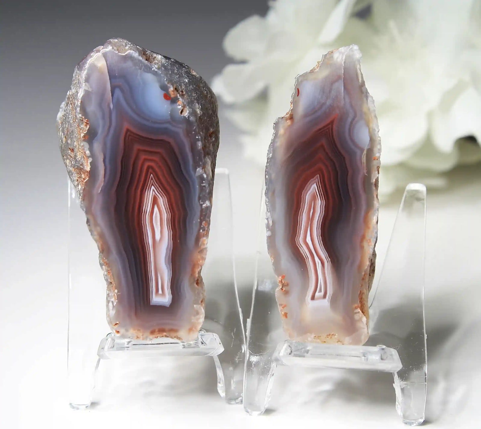 Swazi agate, agate pairs, swazi agate pair, orange swazi agate, white swazi agate, pink swazi agate, purple swazi agate, collectors swazi agate, pastel agate , pastel swazi agate