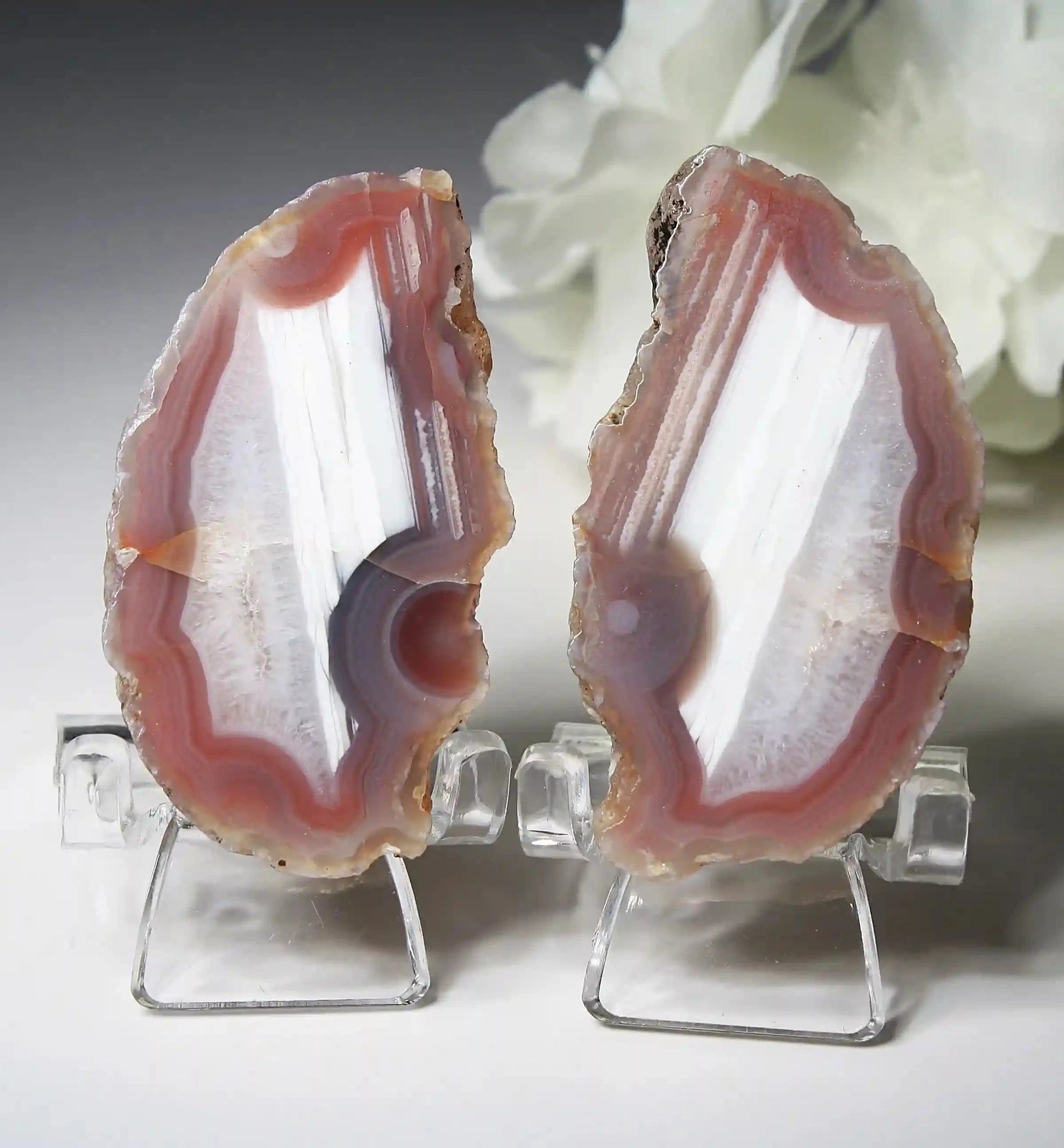 Swazi agate, agate pairs, swazi agate pair, orange swazi agate, white swazi agate, pink swazi agate, purple swazi agate, collectors swazi agate 