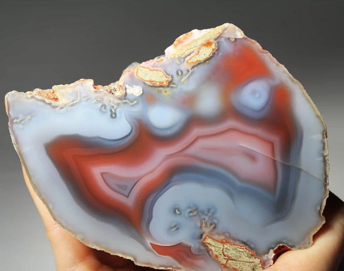 Large Vibrant Pink and Blue Swazi Agate Slice