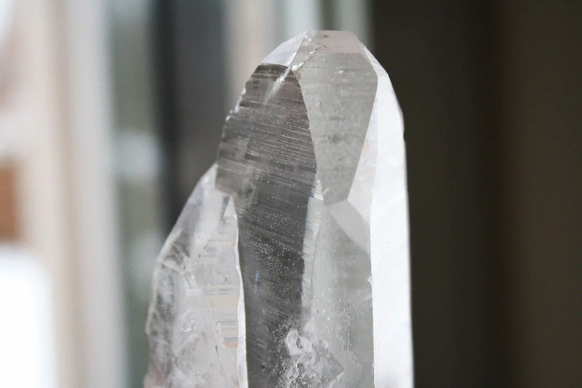 Lemurian Seed Quartz