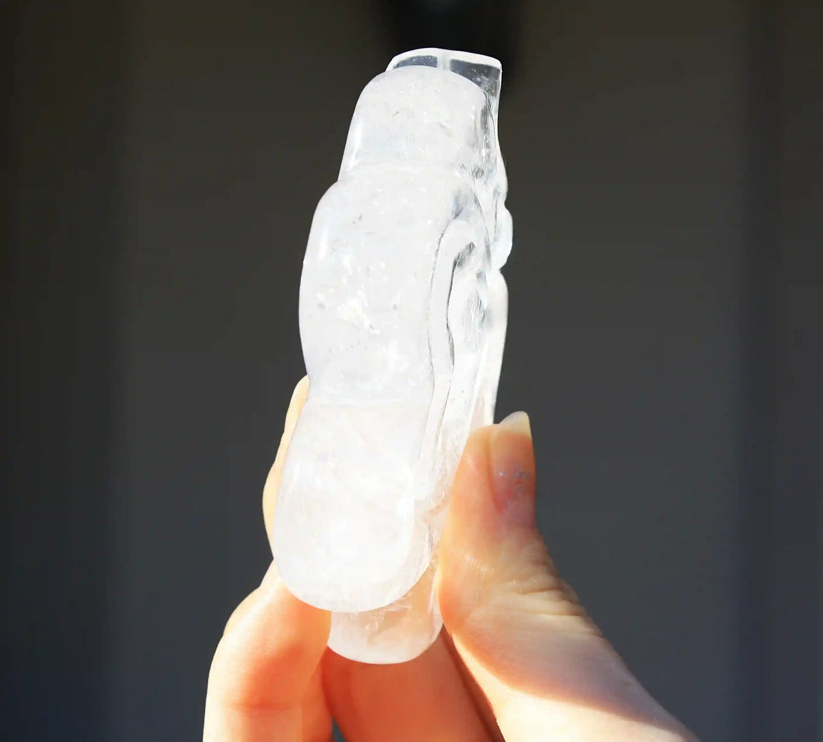 Amethyst Crystal Butterfly Engraved Skull by Vikas Meena