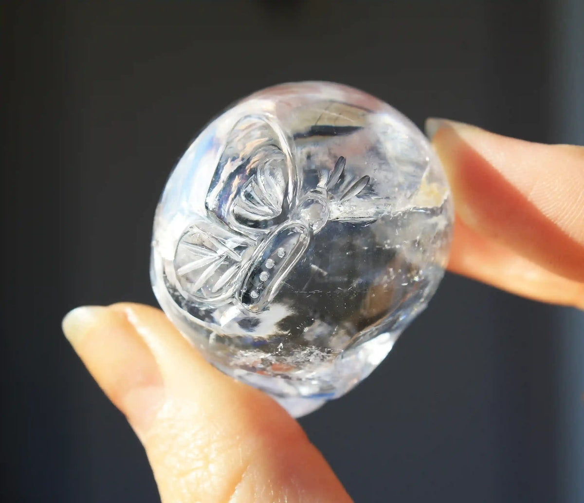 Himalayan Quartz Crystal Butterfly Engraved Skull by Vikas Meena