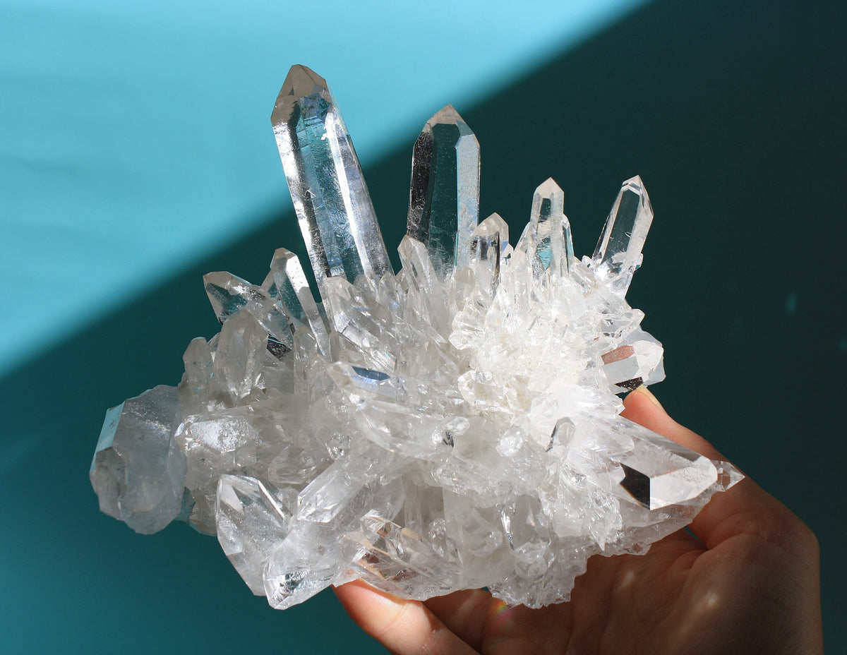 Statement 1.6lb Zeca de Souza Cluster