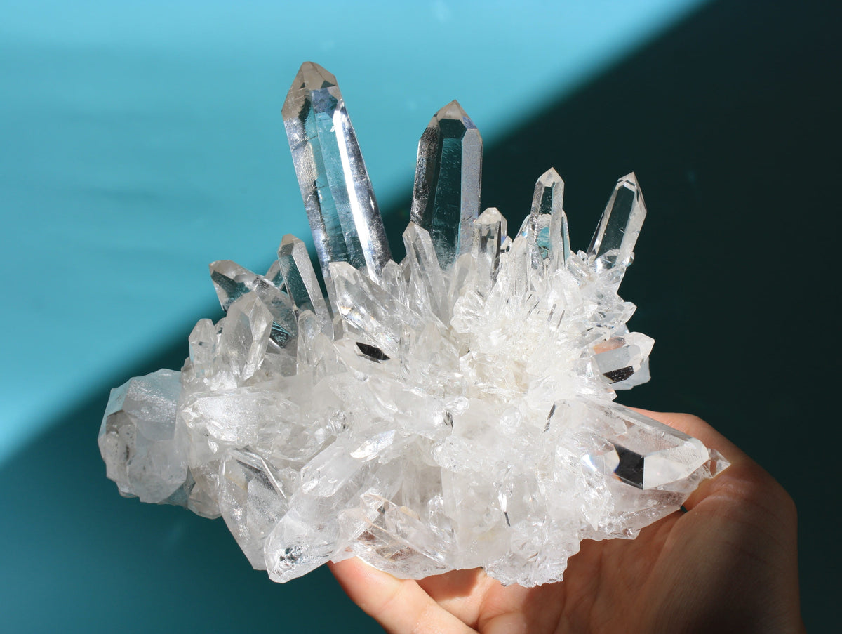 Statement 1.6lb Zeca de Souza Cluster