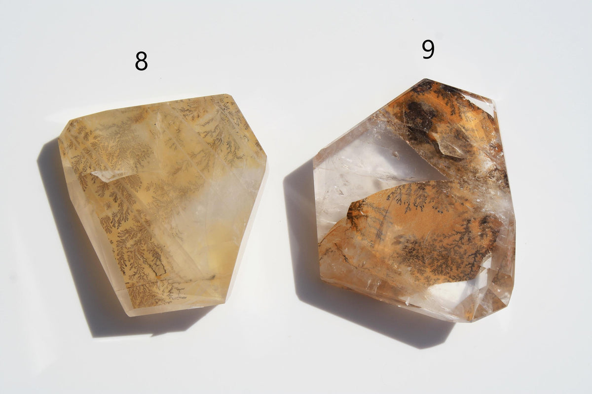 Dendritic Quartz | Dendritic Inclusion inside Quartz | Dendritic Quartz Cabochon | Inclusion Quartz | Tree Inclusion Quartz