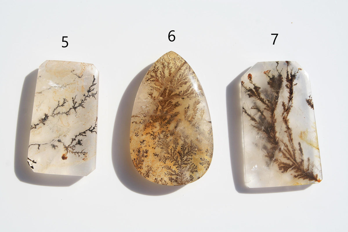 Dendritic Quartz | Dendritic Inclusion inside Quartz | Dendritic Quartz Cabochon | Inclusion Quartz | Tree Inclusion Quartz
