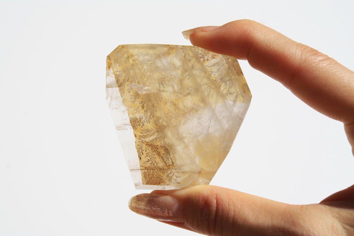 Dendritic Quartz | Dendritic Inclusion inside Quartz | Dendritic Quartz Cabochon | Inclusion Quartz | Tree Inclusion Quartz